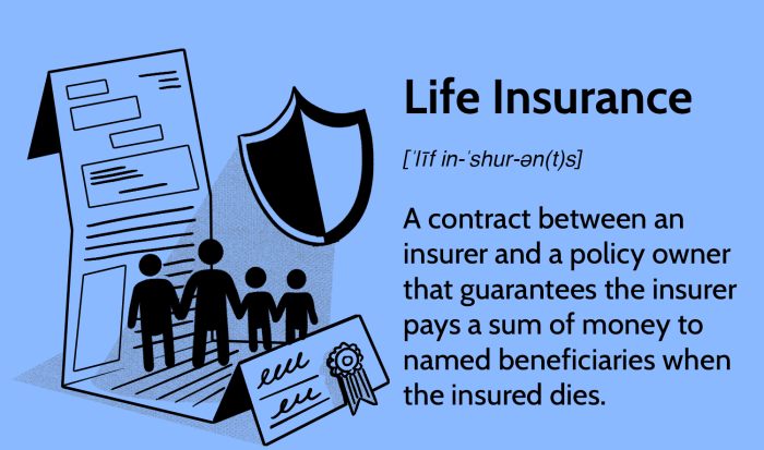 Understanding How Insurance Works